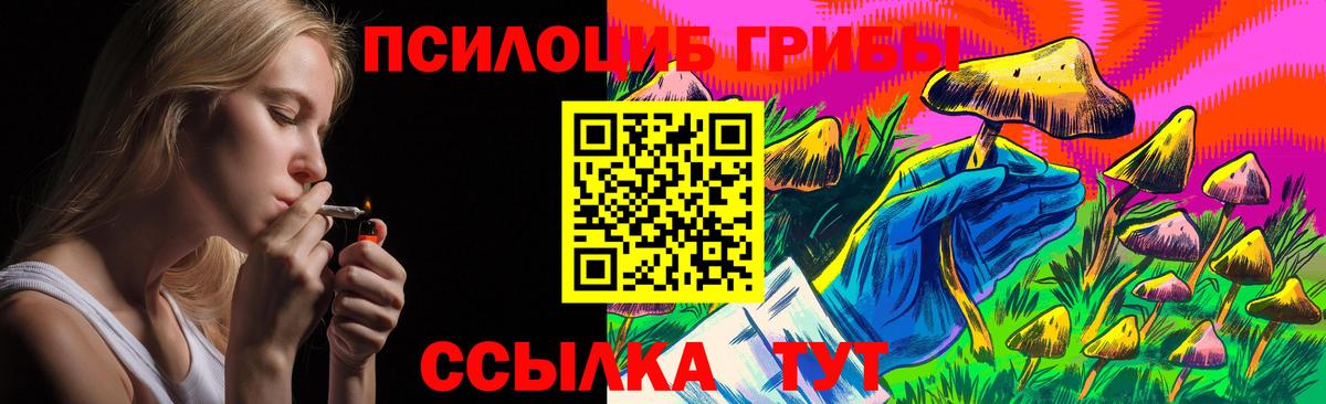 Псилоцибиновые грибы Cubensis Саров